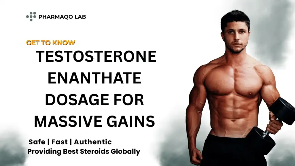 Testosterone Enanthate Dosage for Massive Gains
