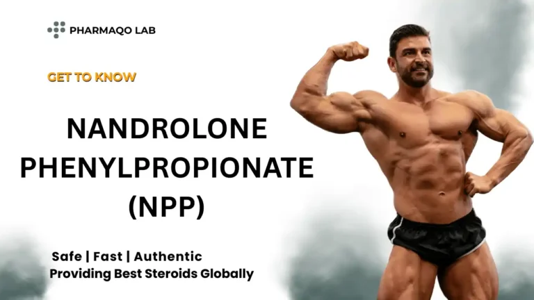 Nandrolone Phenylpropionate (NPP)