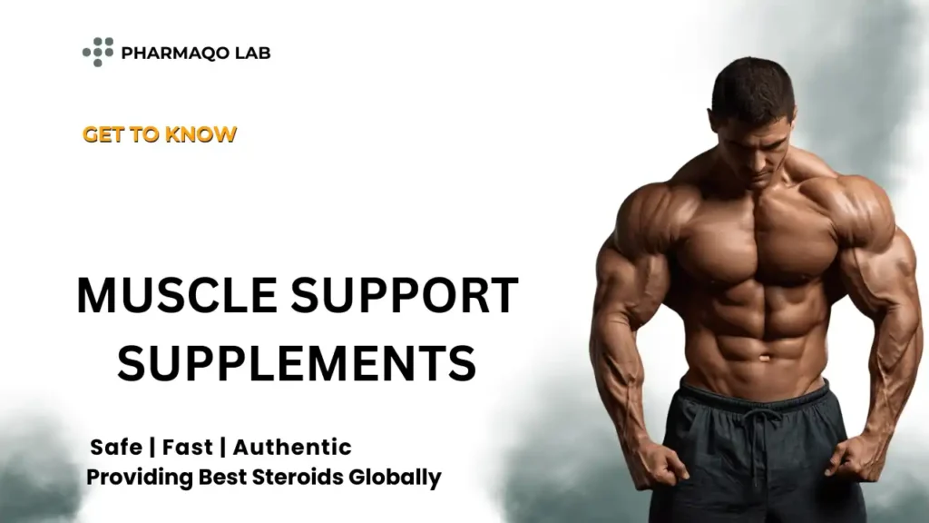 muscle support supplements​
