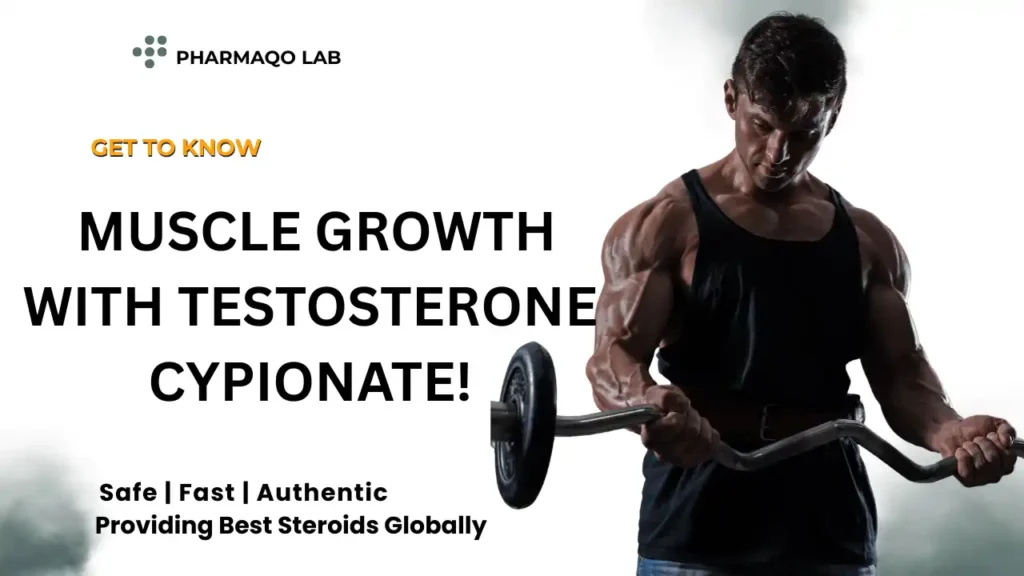 Testosterone Cypionate Muscle Growth
