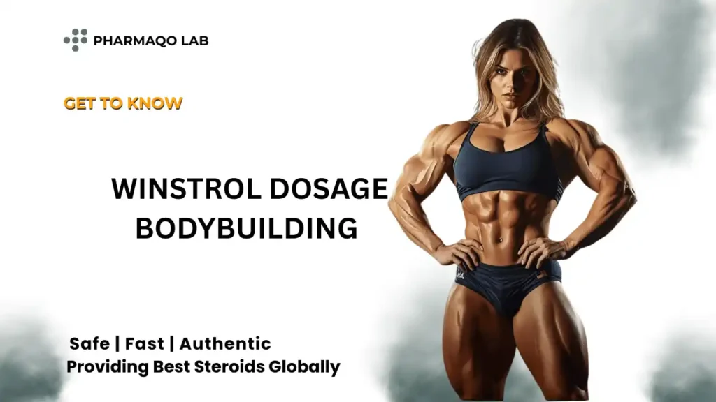 Winstrol Dosage Bodybuilding