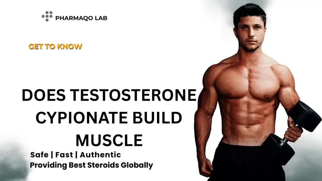 Does Testosterone Cypionate Build Muscle