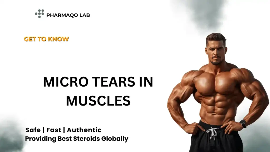 Micro Tears in Muscles