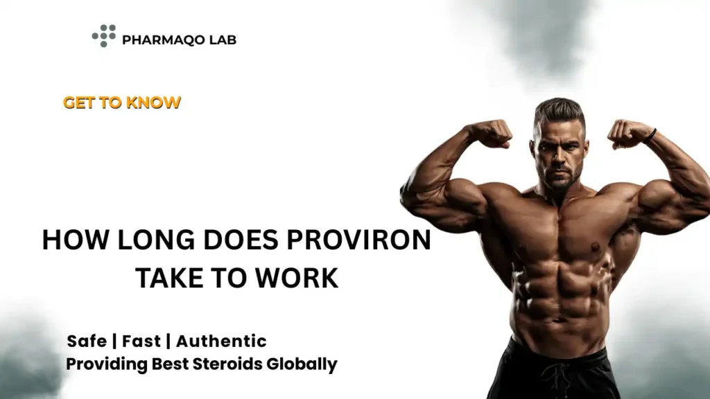 How Long Does Proviron Take to Work