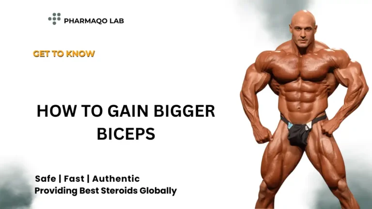 How to gain bigger biceps